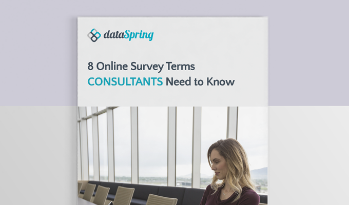 8 Online Survey Terms  Consultants Need to Know
